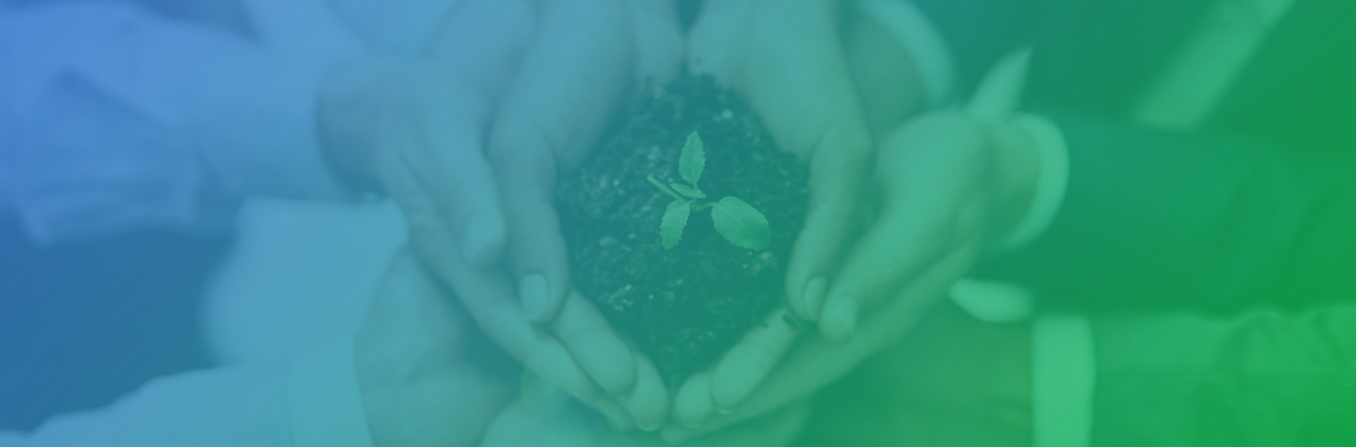 豪运国际·(中国)官方网站